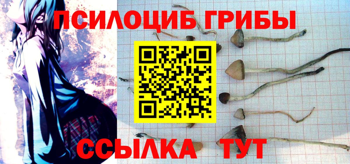 Псилоцибиновые грибы Psilocybe  Вход с VPN  Норильск 