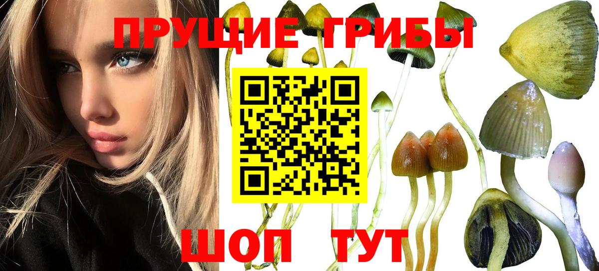 Галлюциногенные грибы GOLDEN TEACHER Норильск
