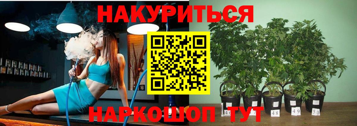 Бошки марихуана семена  Вход с VPN  Норильск  Шишки марихуана VHQ  Каннабис AK-47 